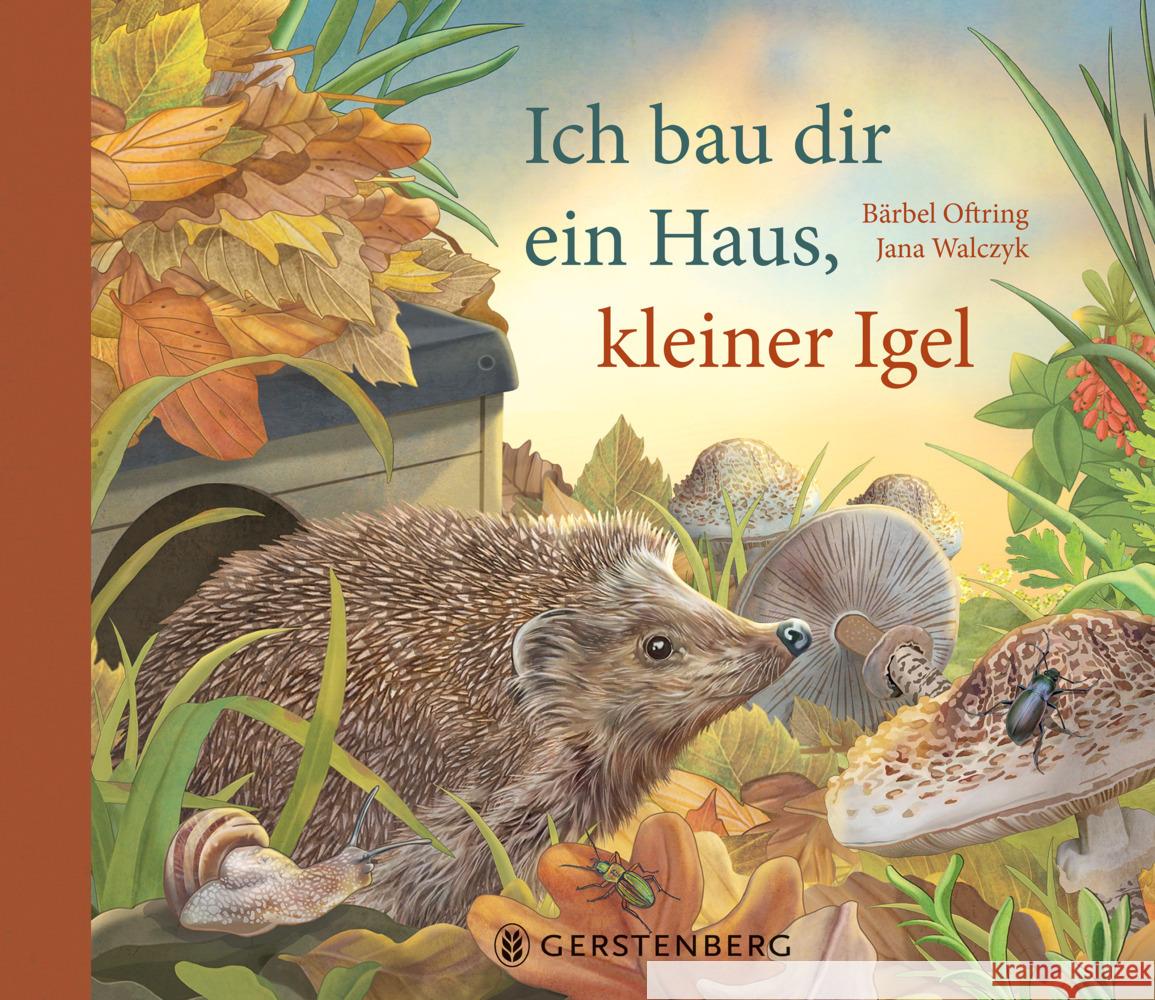 Ich bau dir ein Haus, kleiner Igel Oftring, Bärbel 9783836961523 Gerstenberg Verlag - książka