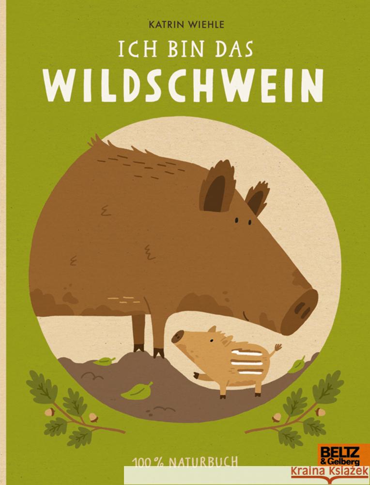 Ich bin das Wildschwein Wiehle, Katrin 9783407758354 Beltz - książka
