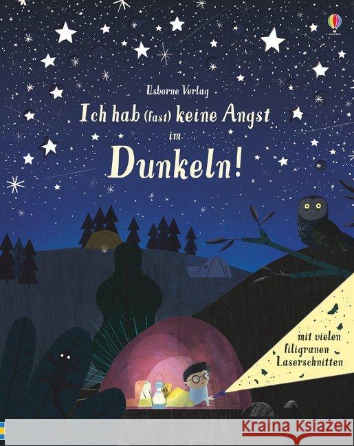 Ich hab (fast) keine Angst im Dunkeln! : Mit vielen filigranen Laserschnitten Milbourne, Anna 9781789412390 Usborne Verlag - książka