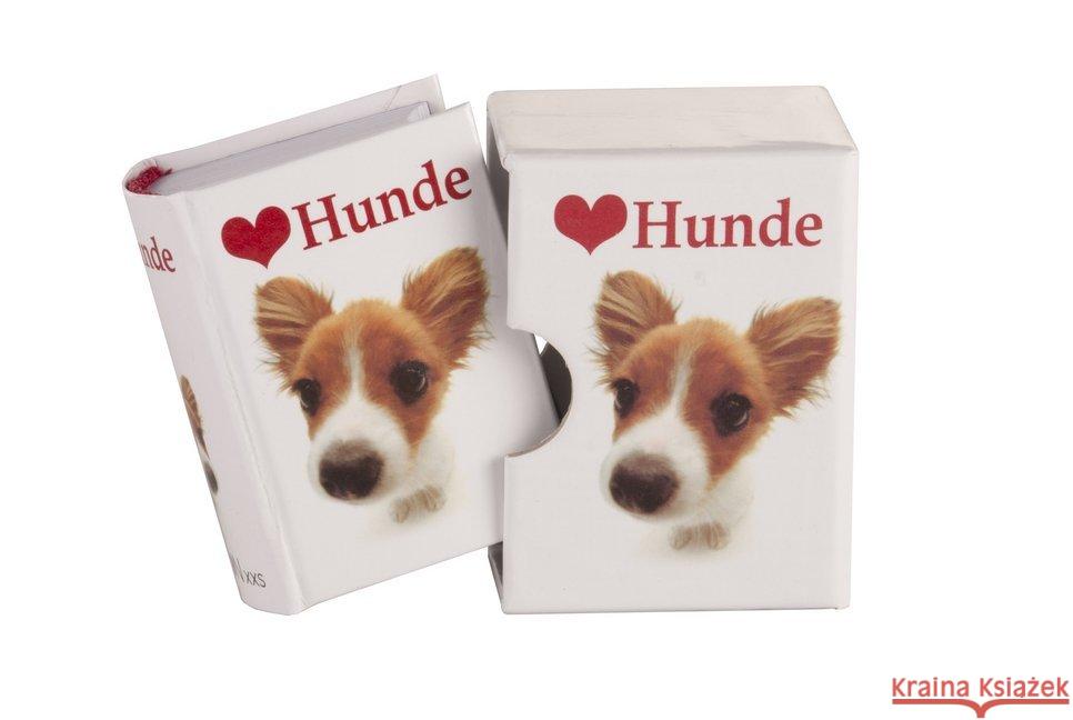 Ich liebe Hunde : Minibuch im Schuber Exley, Helen 9783954088027 Edition XXL - książka