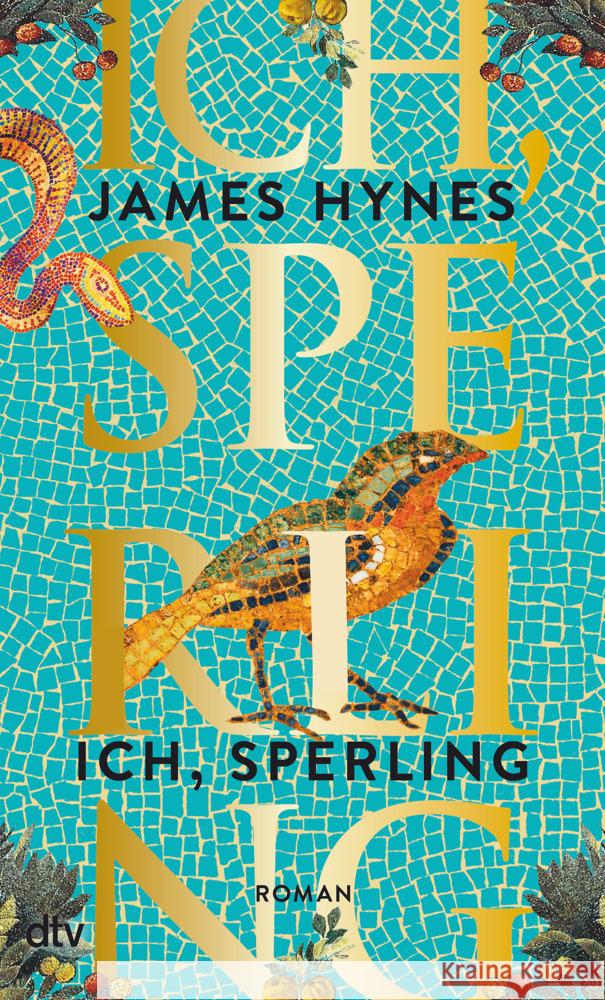 Ich, Sperling Hynes, James 9783423149181 DTV - książka