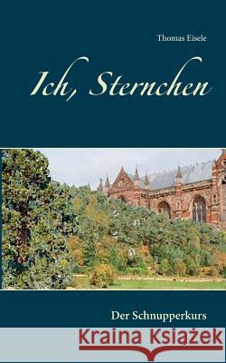 Ich, Sternchen: Der Schnupperkurs Thomas Eisele 9783740749590 Twentysix - książka