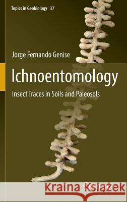 Ichnoentomology: Insect Traces in Soils and Paleosols Genise, Jorge Fernando 9783319282084 Springer - książka