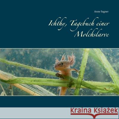 Ichthy, Tagebuch einer Molchslarve Anne Sagner 9783751984683 Books on Demand - książka