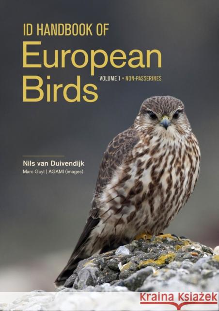 ID Handbook of European Birds Nils van Duivendijk 9780691253572 Princeton University Press - książka