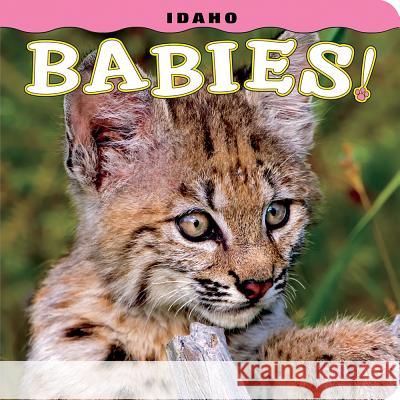 Idaho Babies! Steph Lehmann 9781560376842 Farcountry Press - książka