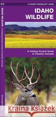 Idaho Wildlife: A Folding Pocket Guide to Familiar Animals James Kavanagh Raymond Leung 9781583556269 Waterford Press - książka