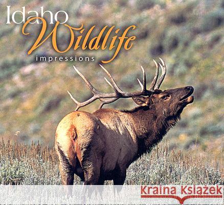 Idaho Wildlife Impressions William H. Mullins 9781560374138 Farcountry Press - książka