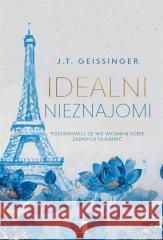 Idealni nieznajomi J.T.Geissinger 9788383626505 NieZwykłe Zagraniczne - książka