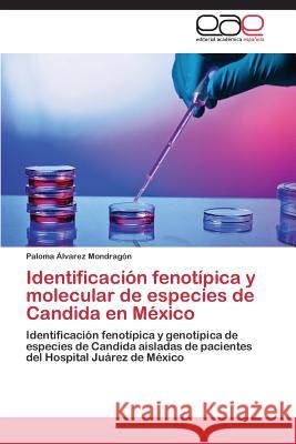 Identificación fenotípica y molecular de especies de Candida en México Álvarez Mondragón Paloma 9783847353119 Editorial Academica Espanola - książka