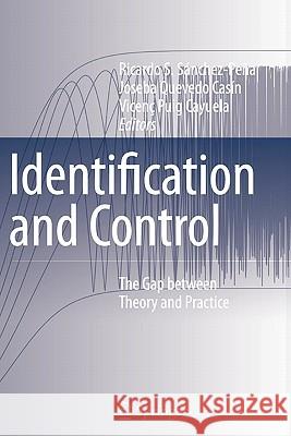 Identification and Control: The Gap Between Theory and Practice Sánchez-Peña, Ricardo S. 9781849966702 Springer - książka