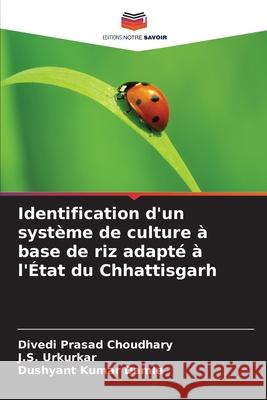 Identification d'un syst?me de culture ? base de riz adapt? ? l'?tat du Chhattisgarh Divedi Prasad Choudhary J. S. Urkurkar Dushyant Kumar Damle 9786209213915 Editions Notre Savoir - książka