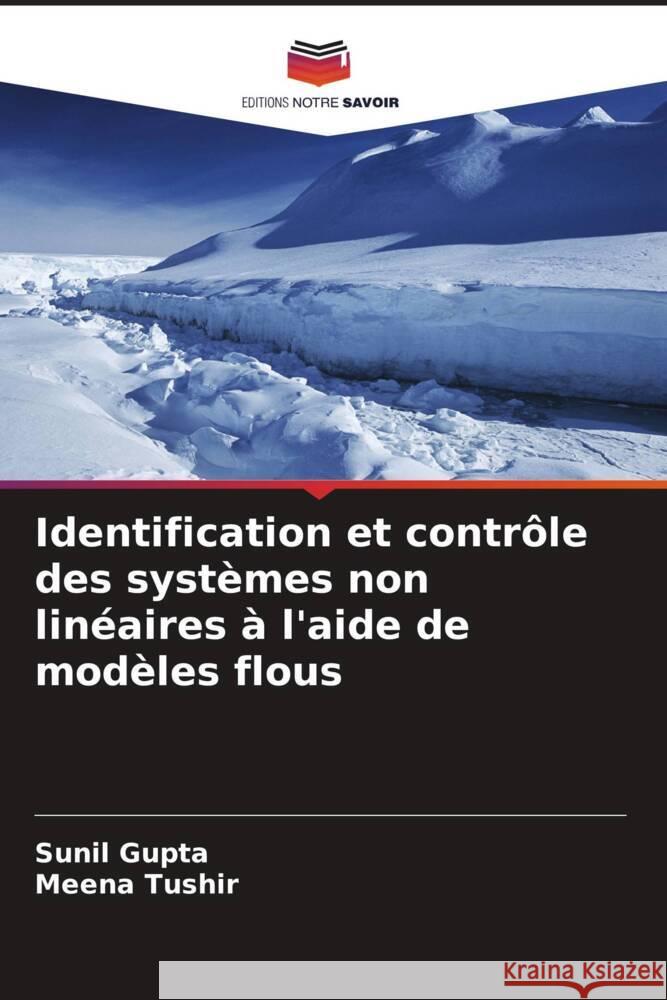 Identification et contrôle des systèmes non linéaires à l'aide de modèles flous Gupta, Sunil, Tushir, Meena 9786203592382 Editions Notre Savoir - książka