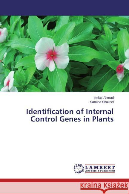 Identification of Internal Control Genes in Plants Ahmad, Imtiaz; Shakeel, Samina 9783659539619 LAP Lambert Academic Publishing - książka