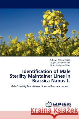 Identification of Male Sterility Maintainer Lines in Brassica Napus L. A K M Aminul Islam, Sujan Chandra Saha, M A Khaleque Mian 9783847377795 LAP Lambert Academic Publishing - książka