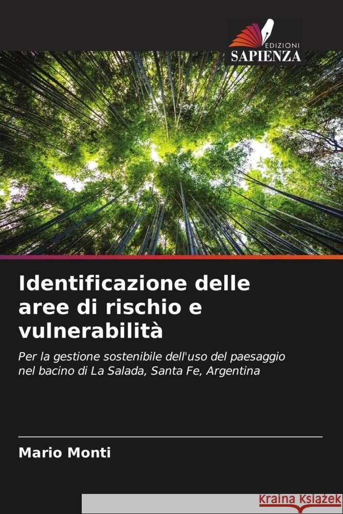 Identificazione delle aree di rischio e vulnerabilità Monti, Mario 9786206497974 Edizioni Sapienza - książka