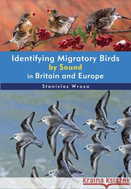 Identifying Migratory Birds by Sound in Britain and Europe Stanislas Wroza 9781399410069 Bloomsbury Publishing PLC - książka