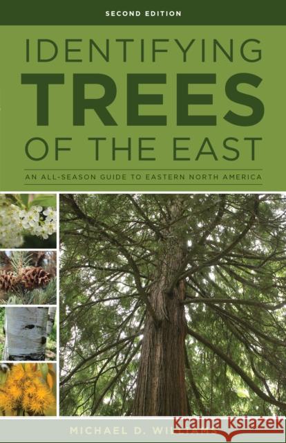 Identifying Trees of the East: An All-Season Guide to Eastern North America Michael D. Williams 9780811718301 Stackpole Books - książka