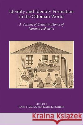 Identity and Identity Formation in the Ottoman World: A Volume of Essays in Honor of Norman Itzkowitz Tezcan, Baki 9780299227548 University of Wisconsin Press - książka