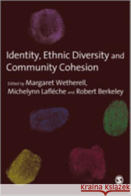 Identity, Ethnic Diversity and Community Cohesion Margaret Wetherell 9781412946162  - książka