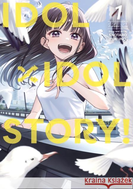 IDOL x IDOL STORY! Vol. 1 Shotaro Tokuno 9798893731507 Seven Seas Entertainment, LLC - książka