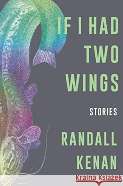 If I Had Two Wings: Stories  9781324005469  - książka