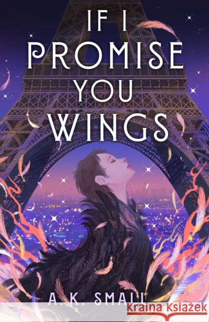 If I Promise You Wings A.K. Small 9781643750286 Little, Brown - książka