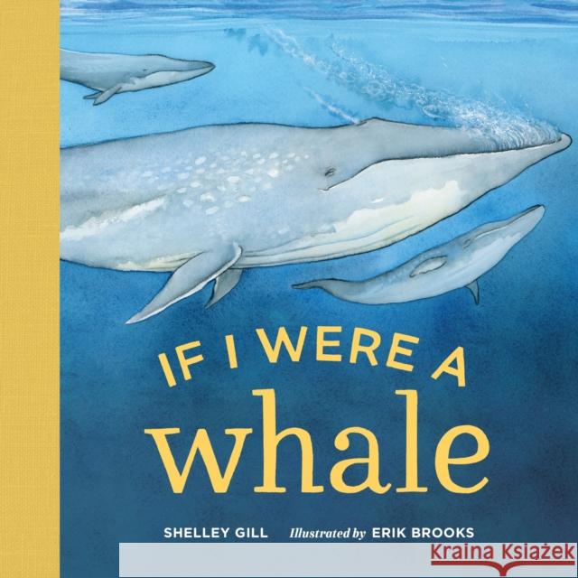 If I Were a Whale: (Stocking Stuffer for Babies and Toddlers) Gill, Shelley 9781632171047 Little Bigfoot - książka