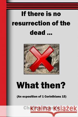 If There Is No Resurrection Ozanne, Charles 9781783644704 Open Bible Trust - książka