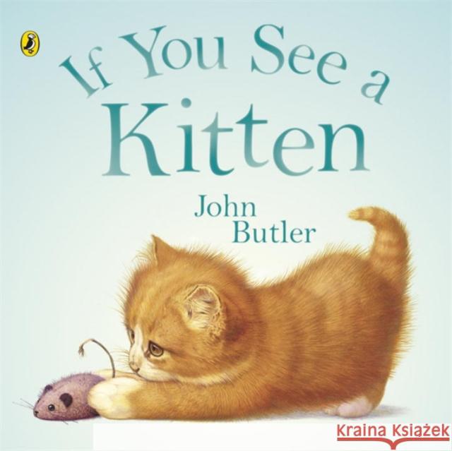 If You See A Kitten John Butler 9780140567762  - książka