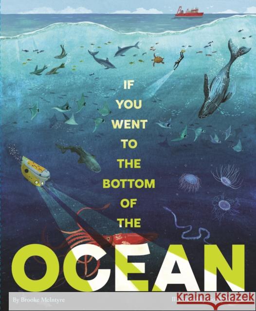 If You Went to the Bottom of the Ocean Brooke McIntyre 9781797226514 Chronicle Books - książka