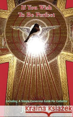 If You Wish To Be Perfect Joe Stevens 9781420848014 Authorhouse - książka