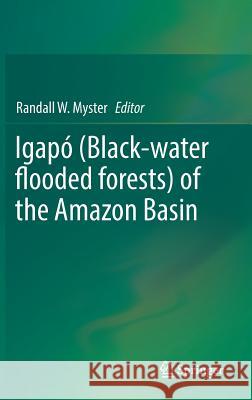 Igapó (Black-Water Flooded Forests) of the Amazon Basin Myster, Randall W. 9783319901213 Springer International Publishing AG - książka
