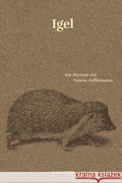 Igel Auffermann, Verena 9783751802093 Matthes & Seitz Berlin - książka