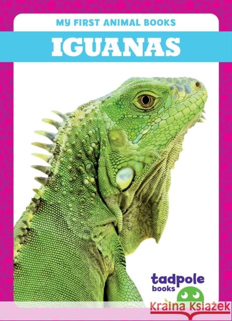 Iguanas Natalie Deniston 9798885246644 Tadpole Books - książka