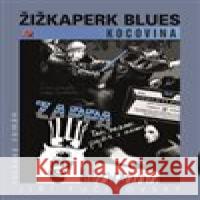 Žižkaperk blues - kocovina Jiří Fučíkovský 9788076291270 Talent Pro ART - książka