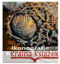 Ikonografie Karlova mostu Jan Royt 9788090913004 Muzeum Karlova mostu - książka