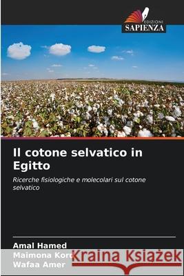 Il cotone selvatico in Egitto Hamed, Amal, Kord, Maimona, Amer, Wafaa 9786209636196 Edizioni Sapienza - książka
