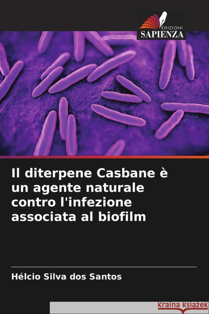 Il diterpene Casbane è un agente naturale contro l'infezione associata al biofilm Silva dos Santos, Hélcio 9786205586921 Edizioni Sapienza - książka