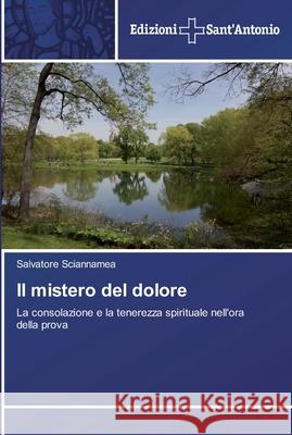 Il mistero del dolore Sciannamea, Salvatore 9783639606300 Edizioni Sant'antonio - książka