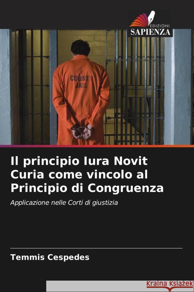 Il principio Iura Novit Curia come vincolo al Principio di Congruenza Temmis Cespedes 9786207025336 Edizioni Sapienza - książka