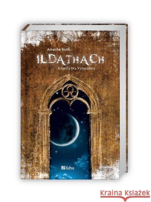 Ildathach : Jenseits des Vergessens Koch, Amanda 9783943987867 fehu - książka