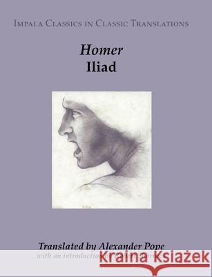 Iliad Homer                                    Alexander Pope Robert Shorrock 9781905530052 Impala - książka