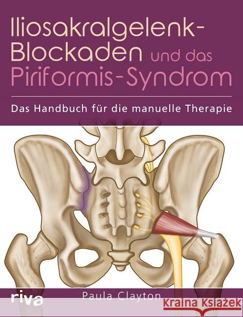 Iliosakralgelenk-Blockaden und das Piriformis-Syndrom : Das Handbuch für die manuelle Therapie Clayton, Paula 9783742305015 riva - książka