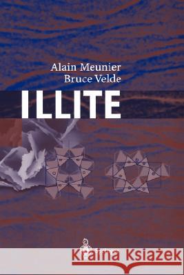 Illite: Origins, Evolution and Metamorphism Meunier, Alain 9783540204862 Springer - książka