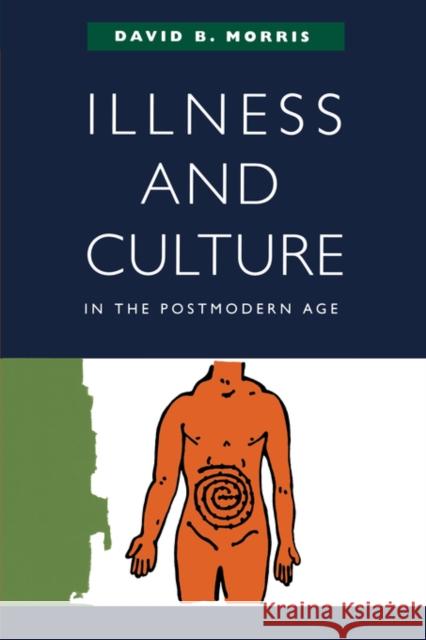 Illness and Culture in the Postmodern Age David B. Morris 9780520226890 University of California Press - książka