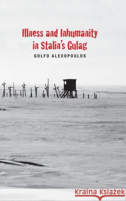 Illness and Inhumanity in Stalin's Gulag Alexopoulos, Golfo 9780300179415 John Wiley & Sons - książka