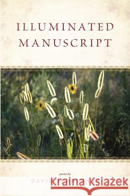 Illuminated Manuscript David Schelhaas 9780932914958 Dordt College Press - książka