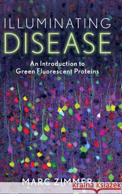 Illuminating Disease: An Introduction to Green Fluorescent Proteins Marc Zimmer 9780199362813 OXFORD UNIVERSITY PRESS ACADEM - książka