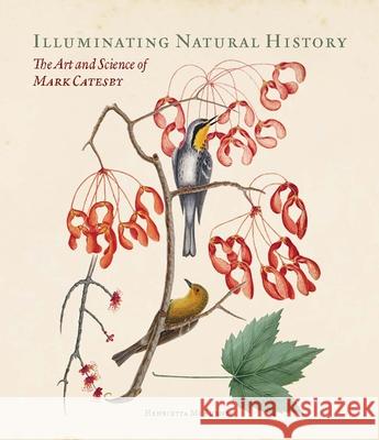 Illuminating Natural History: The Art and Science of Mark Catesby Henrietta McBurney 9781913107192 Paul Mellon Centre for Studies in British Art - książka